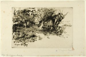 Wierzby autorstwa Francis Seymour Haden