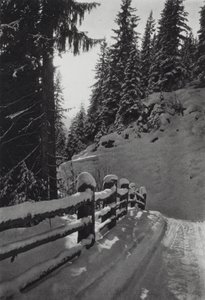 Alpy: Zimowy poranek, niedaleko St Anton (zdjęcie czarno-białe)