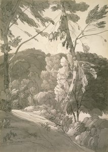 No.1091 Leśny pejzaż (Scena w Indinowle) 1783 (ołówek, długopis i tusz z wash na papierze) autorstwa Francis Towne