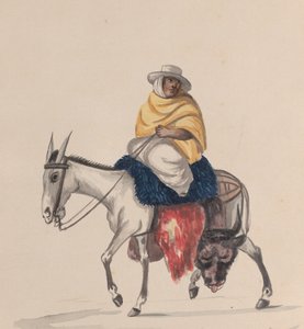 Rzeźnik na osiołku, z grupy rysunków przedstawiających strój peruwiański, ca. 1848.