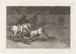 Mariano Ceballos, alias Indianin zabija byka z konia (Mariano Ceballos, Alias ​​Indianin, zabija byka z konia), Płyta 23 z La tauromaquia autorstwa Francisco de Goya