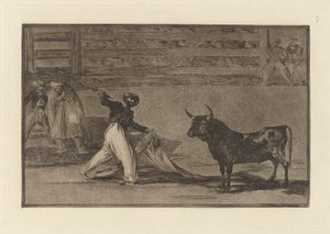 Pochodzenie harpunów? banderille (pochodzenie harpunów lub banderilli), płyta 7 z La tauromaquia autorstwa Francisco de Goya