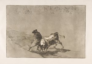 Tablica 14 z Tauromachii: Bardzo zręczny uczeń Falcesa, zawinięty w pelerynę..., 1816. autorstwa Francisco de Goya