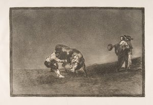 Tablica 16 Tauromachii: Ten sam mężczyzna rzuca byka na ring w Madrycie, 1816. autorstwa Francisco de Goya