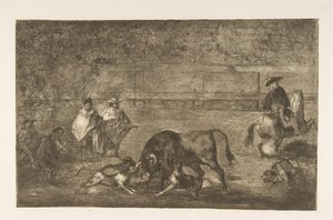 Tabliczka C: Psy wypuszczone na byka, ok. godz. 1816. autorstwa Francisco de Goya