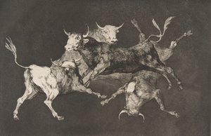 Tabliczka D z Disparates: Głupcy lub Byczki - fo..., ca. 1816-23 opublikowane przed 1877 r. autorstwa Francisco de Goya