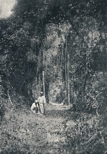 Autostrada Alto Parana, 1895