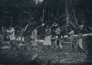 Indianie Guaran, powracający z Caþady, 1895