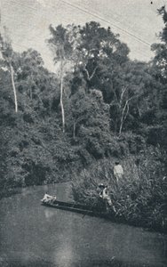 Rzeka S. Anastacio, 1895