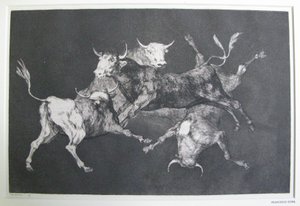 Szaleństwo głupców autorstwa Francisco Jose de Goya y Lucientes