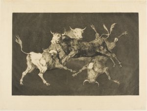 Głupiec, z Disparates autorstwa Francisco Jose de Goya y Lucientes
