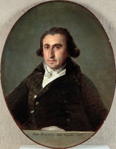 Portret Martina Zapatera y Claveria (1747-1803) - Obraz Francisco de Goya (1746-1828), olej na płótnie autorstwa Francisco Jose de Goya y Lucientes