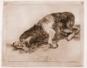 Katastrofy wojny: Dumny potwór! (akwaforta z rysunku przygotowawczego) autorstwa Francisco de Goya