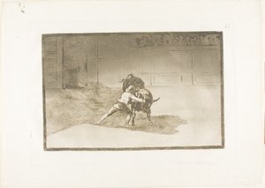Słynny Martincho umieszcza banderille, Grający na byku ruchem ciała, płyta 15 ze Sztuki walki byków autorstwa Francisco Jose de Goya y Lucientes