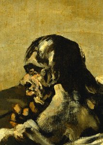 Losy ... (obraz na płótnie) autorstwa Francisco Jose de Goya y Lucientes