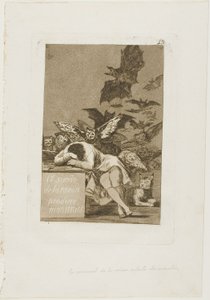 Sen rozumu produkuje potwory, płyta 43 z Los Caprichos autorstwa Francisco Jose de Goya y Lucientes