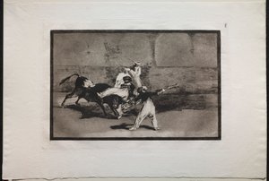 Walki byków: wrzosowisko złapane przez byka na ringu autorstwa Francisco de Goya