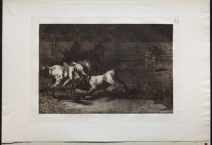 Walki byków: Mariano Ceballos, Indianin Alias, zabija byka ze swojego konia autorstwa Francisco de Goya