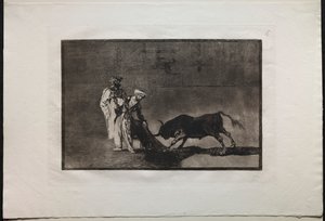 Walki byków: Maurowie odgrywają inną grę na ringu Wzywając byka z Burnous autorstwa Francisco de Goya