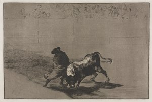 Walki byków: Bardzo zręczny badacz Falces, owinięty w pelerynę, Tricks the Bull..., 1876. autorstwa Francisco de Goya