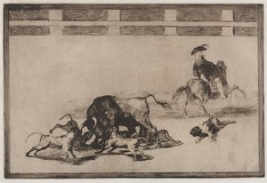 Walki byków: psy gubią byka autorstwa Francisco de Goya