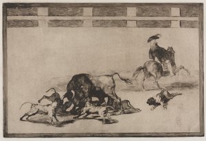 Walki byków: Loose Dogs on the Bull, 1876. autorstwa Francisco de Goya