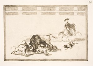 Polerują psy na byku autorstwa Francisco de Goya