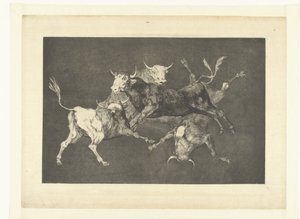 Głupota Małych Byków Odmienne de tontos Los Disparates (The Follies) (tytuł serii) Los Proverbios (Przysłowia) (tytuł serii) autorstwa Francisco de Goya