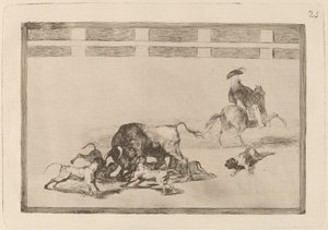 Echan perros al toro (Wypuszczają psy na byka) autorstwa Francisco de Goya