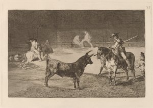 Słynny Fernando del Toro, barilarguero, wymuszający bestię tyczką (Słynny Picador, Fernando del Toro, Przyciąga Dziką Bestię Swoją Piką) autorstwa Francisco de Goya