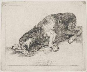 Dziki potwór (81) autorstwa Francisco de Goya