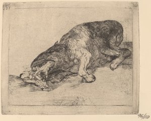 Zaciekły potwór! (Zaciekły potwór!) autorstwa Francisco de Goya