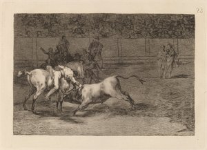 Mariano Ceballos, alias Indianin, zabija byka ze swojego konia (Mariano Ceballos, alias Indianin, zabija byka ze swojego konia) autorstwa Francisco de Goya