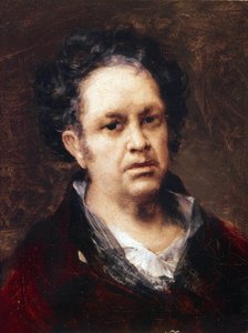 Autoportret 69 lat (olej na płótnie) autorstwa Francisco de Goya
