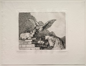 Okropności wojny: pantomima kotów autorstwa Francisco de Goya