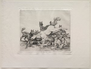 Okropności wojny: dobrze się broni. autorstwa Francisco de Goya