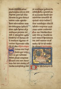 Jeż z bestiariusza Pani Ludwig XV 4, fol. 82, ok.1280-1300 (tempera, pióro i atrament, złoto płatkowe i farba na pergaminie)