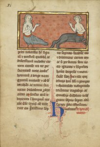 Syrena i Centaur z bestiariusza Pani Ludwig XV 4, fol. 81v, c.1280-1300 (tempera, pióro i atrament, płatek złota i farba na pergaminie)
