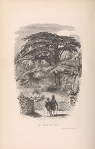 Ogród Botaniczny, Opisy i maniery ssaków, 1842. autorstwa Francois Boitard