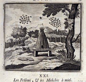 Szerszenie i muchy miodowe. Bajki Jean de La Fontaine (1621-95). Ilustracja Francois Chauveau (1613-1676). Wydanie z 1728 r. autorstwa Francois Chauveau