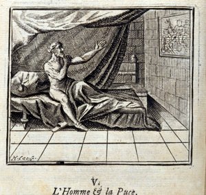 Człowiek i pchła. Bajki Jean de La Fontaine (1621-95). Ilustracja Francois Chauveau (1613-1676). Wydanie z 1728 r. autorstwa Francois Chauveau