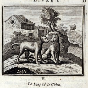 Wilk i pies Bajki Jean de La Fontaine (1621-95). Ilustracja Francois Chauveau (1613-1676). Wydanie z 1728 r. autorstwa Francois Chauveau