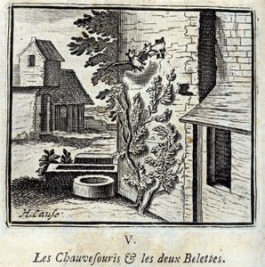 Nietoperz i dwie Łasice. Bajki Jean de La Fontaine (1621-95). Ilustracja autorstwa François Chauveau (1613-1676). Wydanie z 1728 r. autorstwa Francois Chauveau