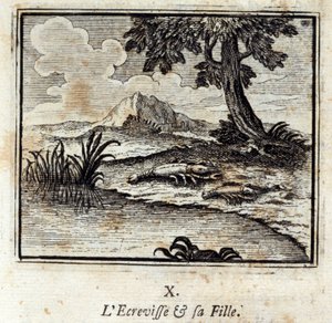 Crevisse i jego córka. Bajki Jean de La Fontaine (1621-95). Ilustracja François Chauveau (1613-1676). Wydanie z 1728 r. autorstwa Francois Chauveau