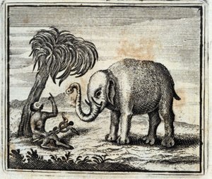 Słoń i Małpa Jowisza. Bajki Jean de La Fontaine (1621-95). Ilustracja François Chauveau (1613-1676). Wydanie z 1728 r.