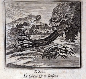 Dąb i trzcina. Bajki Jean de La Fontaine (1621-95). Ilustracja autorstwa François Chauveau (1613-1676). Wydanie z 1728 r. autorstwa Francois Chauveau