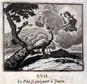 Paw skarży się Junonowi. Bajki Jean de La Fontaine (1621-95). Ilustracja autorstwa François Chauveau (1613-1676). Wydanie z 1728 r. autorstwa Francois Chauveau