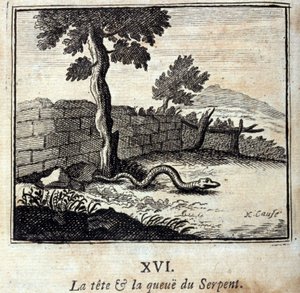 Głowa i ogon Węża. Bajki Jean de La Fontaine (1621-95). Ilustracja autorstwa François Chauveau (1613-1676). Wydanie z 1728 r. autorstwa Francois Chauveau