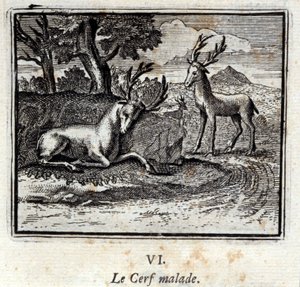 Chory jeleń. Bajki Jean de La Fontaine (1621-95). Ilustracja François Chauveau (1613-1676). Wydanie z 1728 r. autorstwa Francois Chauveau