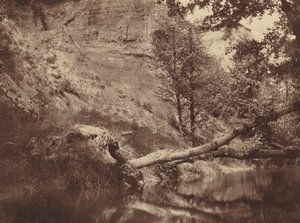 Brzeg rzeki, ok. godz. 1855.